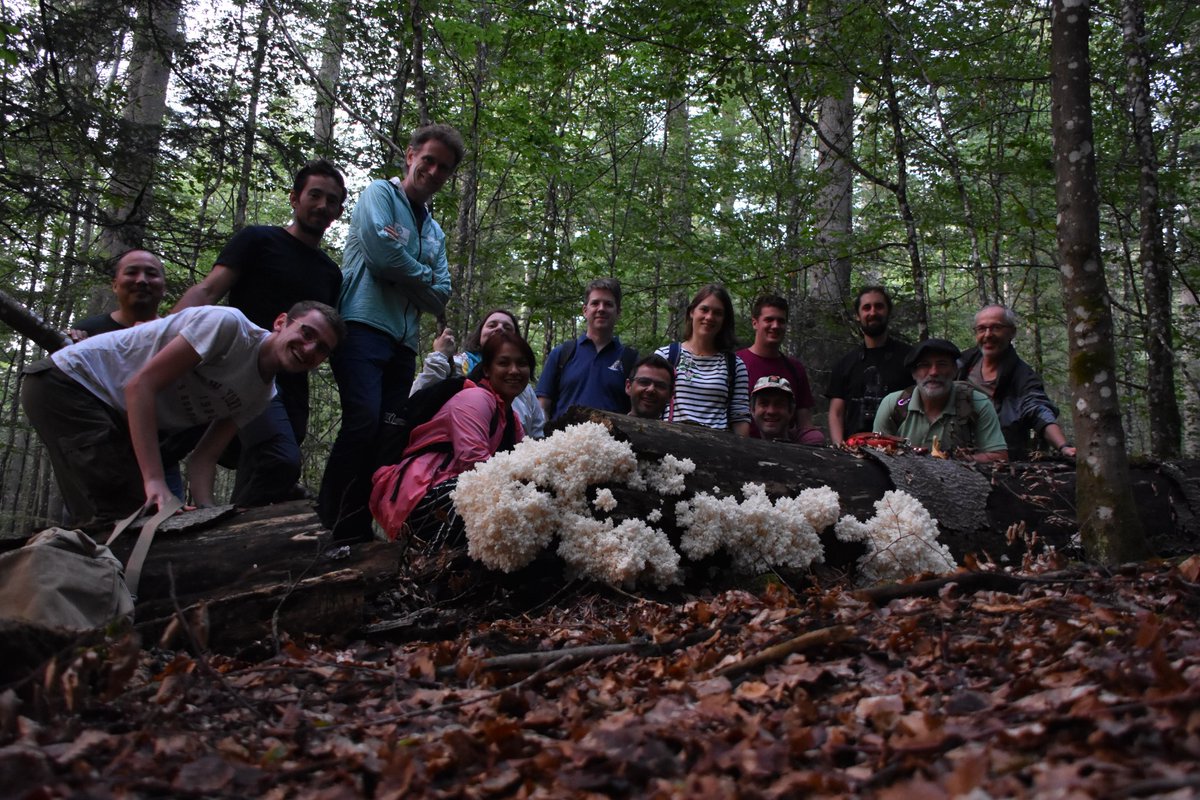 SireLucas's tweet photo. End of a small week full of nice results, discussions, hikes and food ! Everything needed for a great #CLIMTREE project meeting ! https://t.co/C36Kwgx0r1