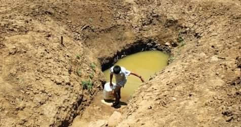 Renatokbca1's tweet photo. Aqui não tem nióbio, diamantes, ouro, petróleo e outros derivados, por isso nenhuma ONG internacional nunca se importou se o nosso povo e nossos animais estão morrendo, viva a Amazônia e o Brasil é nosso. https://t.co/MPBL3F15Zd