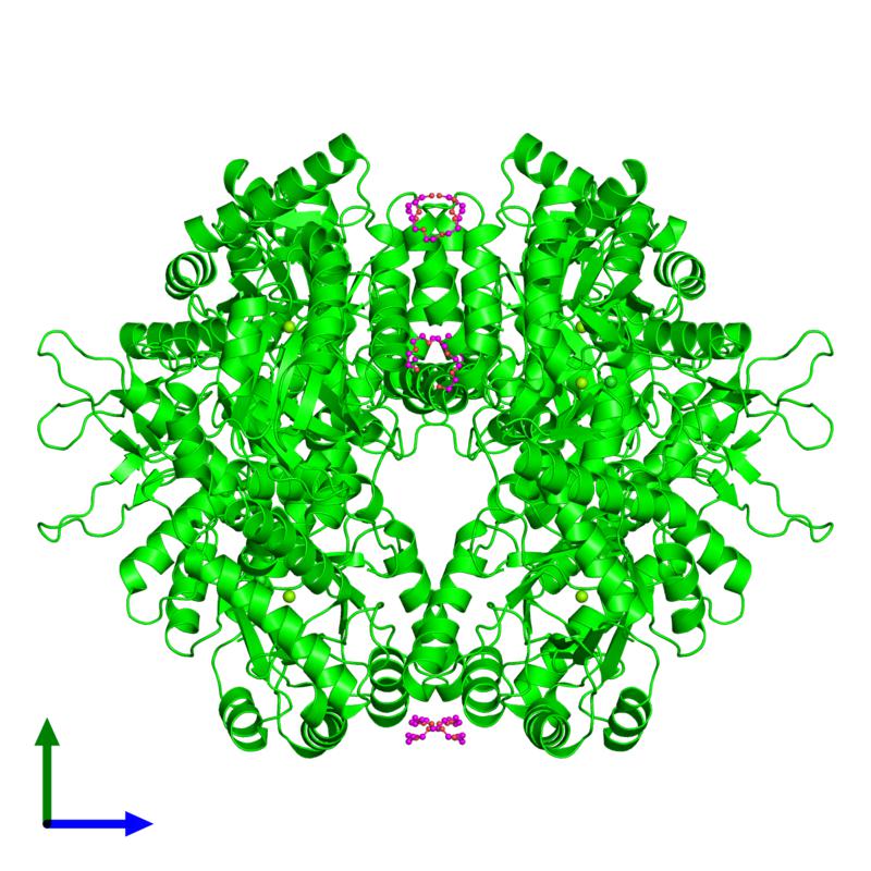 PDBimagebot's tweet photo. #HexamerOfTheWeek 'Malyl-CoA lyase from Methylobacterium extorqu..' published in @ActaCrystF. Find it at https://t.co/N4RtqkoPPJ https://t.co/0WezlBYc7g
