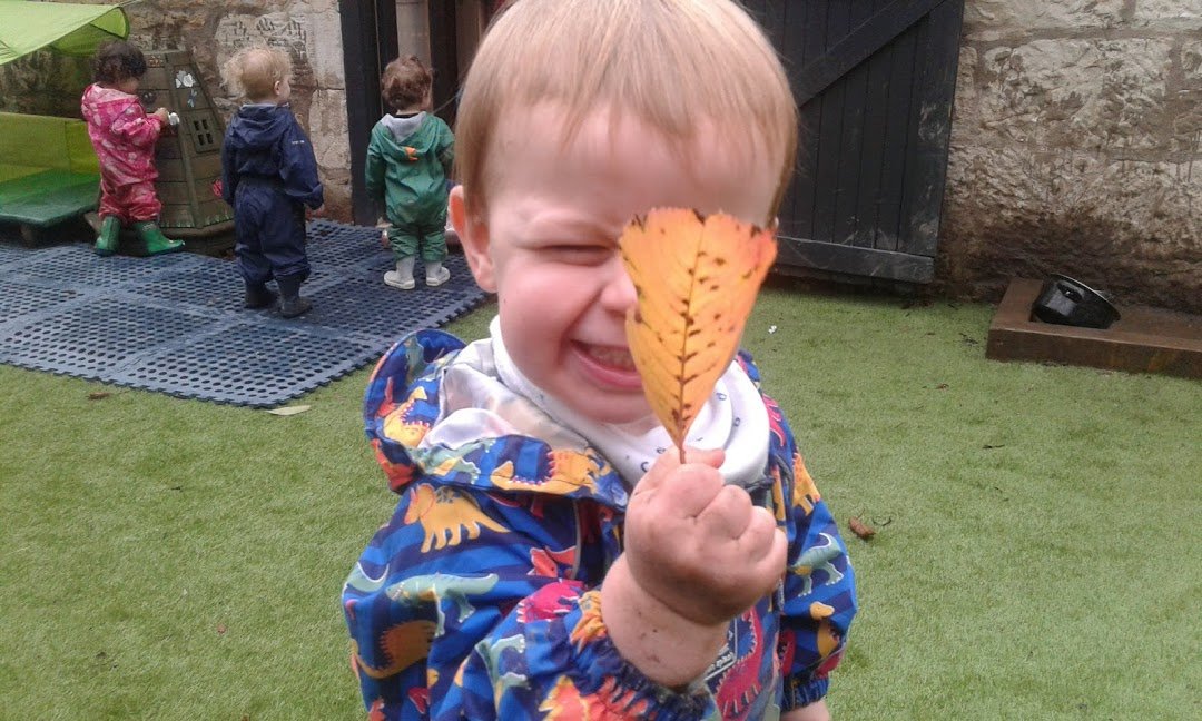 KAGreenForest's tweet photo. Nooooo, surely not the first signs of Autumn🍂🍂🍂
Exploring in the garden....
#greenforestlove❤️🌲 https://t.co/EAqxCu3IG6