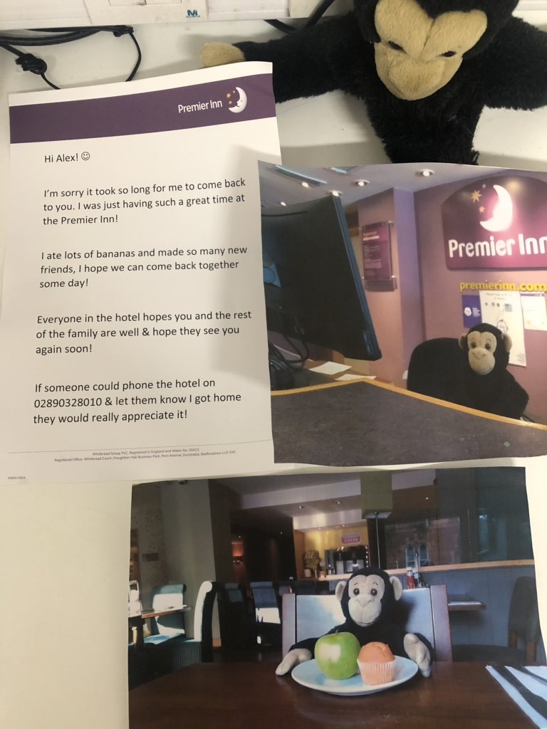 nancyjack's tweet photo. @SDEBDD @premierinn @hubhotels One of our younger guests left their monkey..... https://t.co/fK6EOENGeE