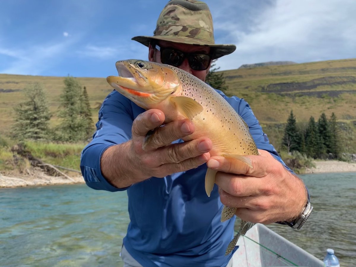 Sir_NickFaldo's tweet photo. Fun day on the upper Elk River 🎣 #Fernie BC #CamoMan https://t.co/XxJkRuHW3s