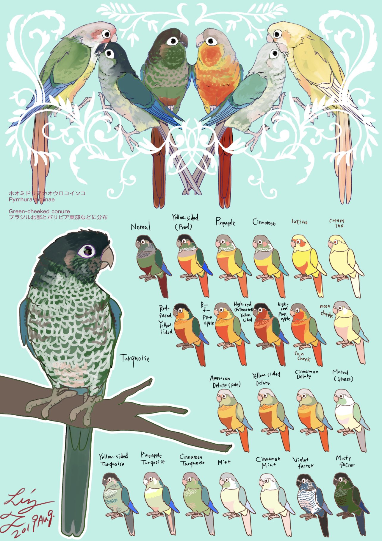 リズ充電中 青いことり工房 ホオミドリアカオウロコインコ図鑑風クリアファイル 線画描けましたー 各部名称も和英併記いたします 色も塗ります 裏面は色変わり名表 ウロコインコ 図鑑風クリアファイルと２枚組おまけ付き送料込千円にてご予約受付