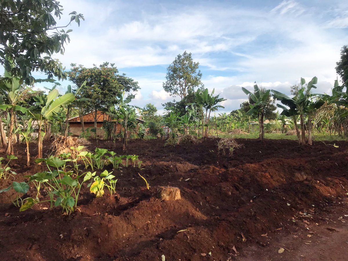 mtlmegapixel's tweet photo. Home... #Kamkop #Bamougoum #WestCameroon #Cameroon https://t.co/qCkOkrqTlC