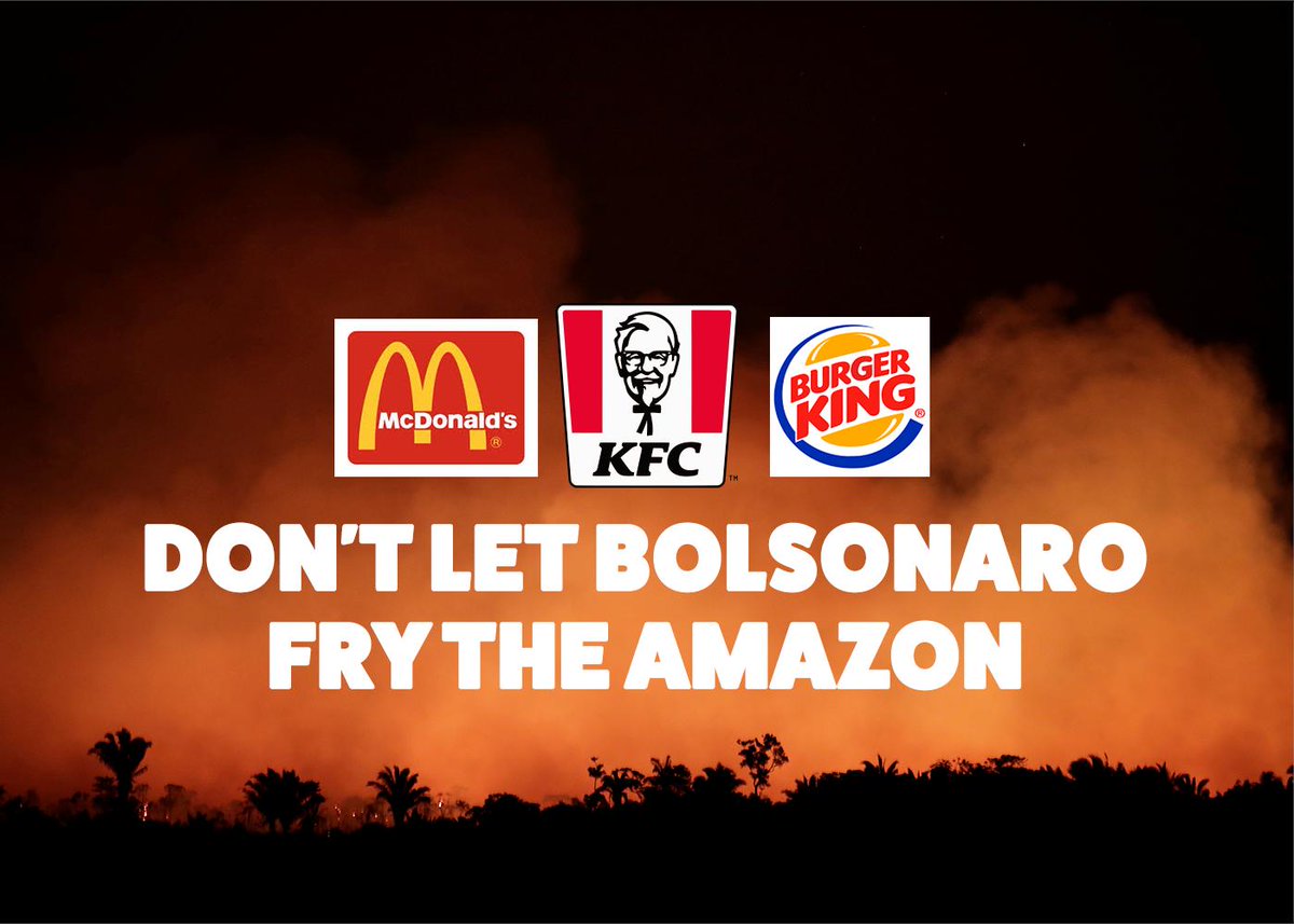 The Amazon is on fire and the President of Brazil is fanning the flames. 

<a href="/McDonalds/">McDonald's</a> <a href="/kfc/">KFC</a> <a href="/BurgerKing/">Burger King</a>
source huge amounts of meat and soya from Brazil. 

Don't let them stand by while the Amazon goes up in flames. 

Sign the petition: act.gp/2ZtDyX1