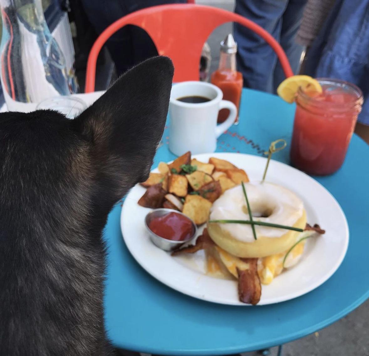 Brunch in less than 24 hours 😍We open at 9am tomorrow morning!
(📷: @marisa_of_the_sea)