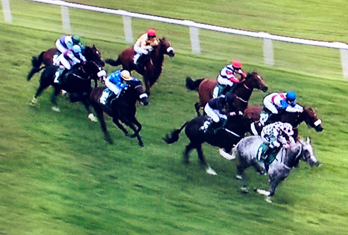 amajox's tweet photo. Congrats @amajox๐ฅ@E_Cagney fresh from #win @CarlisleRaces wins AJA Handicap @ThirskRaces #BuccaneersVault #PaulMidgley #topride #topjock #15ran ๐๐๐๐๐๐๐๐ฅ https://t.co/2ypHENHb0I