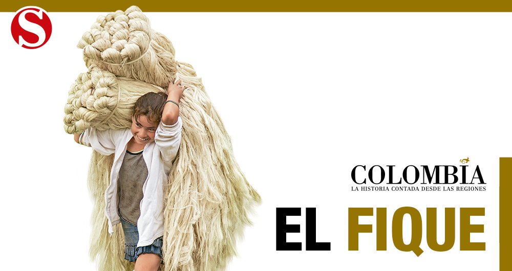 SemanaHistoria's tweet photo. #SemanaHistoria | #Santander es el mayor productor de fique del país. Esa tradición, desde epocas prehispánicas, fundamentó su economía en los siglos XIX y XX. Alrededor de esta fibra se creó una clase artesanal que elabora bolsos, sombreros y artesanías de exportación. https://t.co/CozICrh2BS
