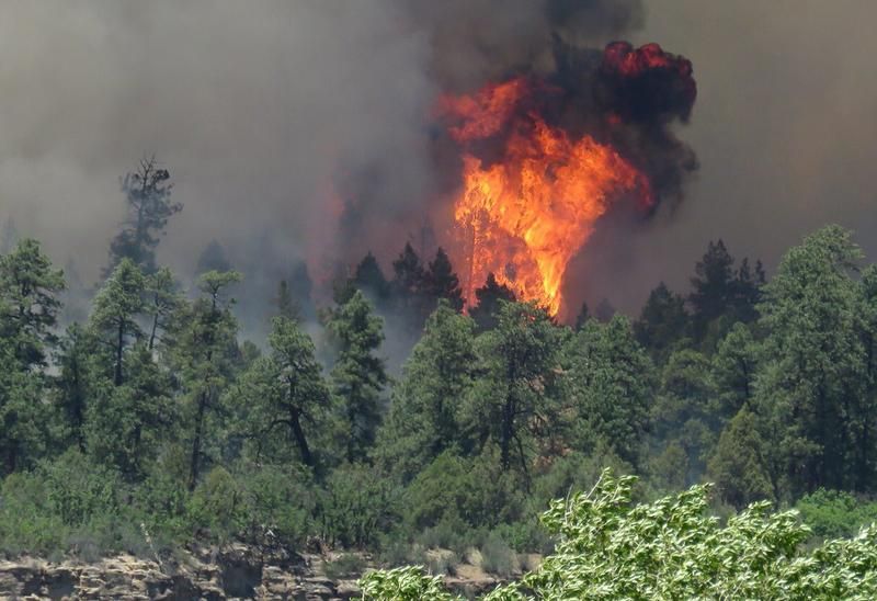 KScienceSchool's tweet image. Fire restrictions start this weekend in Colorado counties!
buff.ly/2ZAY6Ng