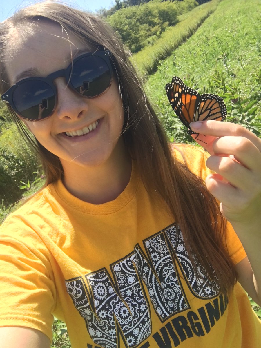 Representing WVU while hunting for fungus-infected goldenrod soldier beetles at Snake Hill WMA. We didn't find any, but I caught a few monarchs and had a gorgeous view! I never dreamed I'd get to catch insects for my career. #CollegeColorsDay  <a href="/WorkatWVU/">WVU Talent and Culture</a>