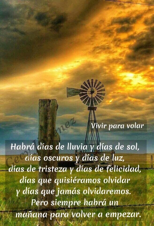 Vivir para volar on Twitter: "Habrá días de lluvia y días de sol, días  oscuros y días de luz, días de tristeza y días de felicidad, días que  quisiéramos olvidar y días