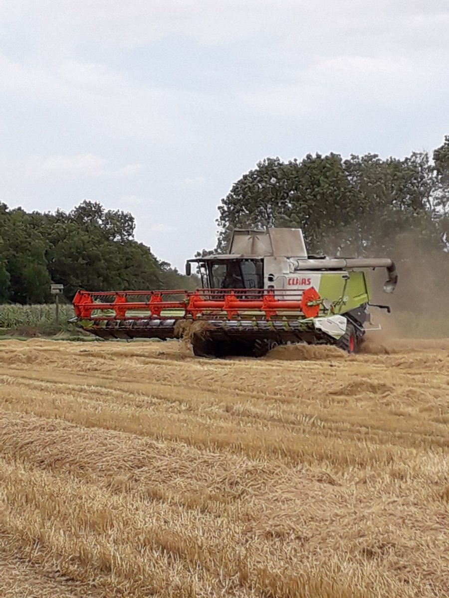 Cereal harvest 19 the end , now we go contracting 👍