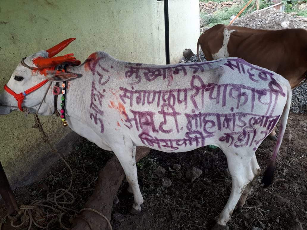 GhodeU's tweet photo. मुख्यमंत्री साहेब संगणक परिचालकाना आय टी महामंडलात घेऊन त्याना न्याय द्यावा तुमि दिलेला शब्द पाड़ावा ही विनंती https://t.co/bsmkpp14sf