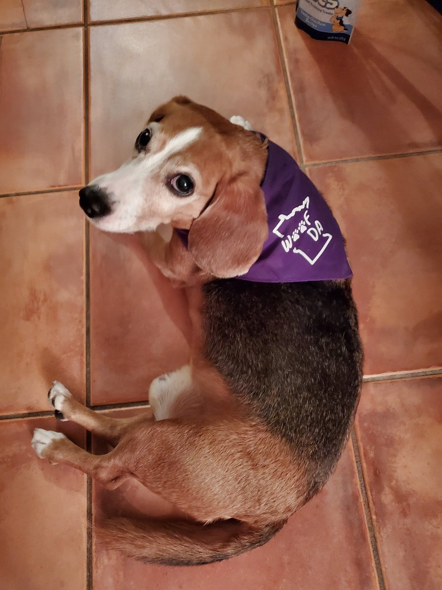 MegaRedd's tweet image. Went to the Minnesota State Fair. Got my dog this awesome bandana. #minnesotastatefair #MNhumor #WoofDa #Beagle

PS: I *did* eat my weight in fried food