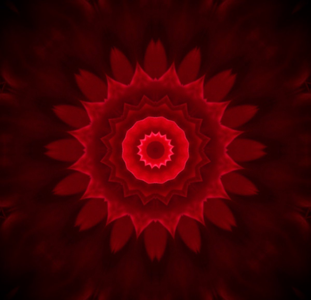 macasso1's tweet image. #mandala #jimmccarthy #innerouter
#steveditko