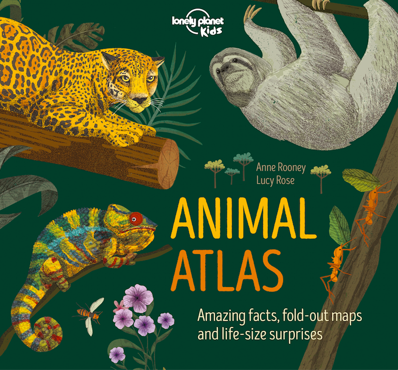 lpkids's tweet photo. #FunFactFridayAnswer: a coelacanth is a fish found in the Comoro Islands, near Madagascar. It likes the deep sea caves in which it hides by day.
More amazing facts about the world of animals can be found in our new Animal Atlas, publishing in October https://t.co/iL7cTVITZk