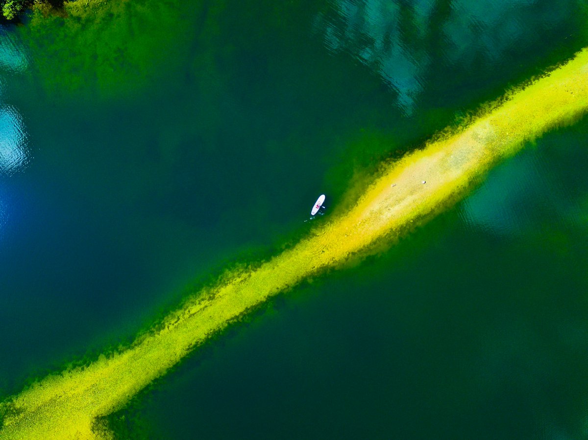 christian james tweet media