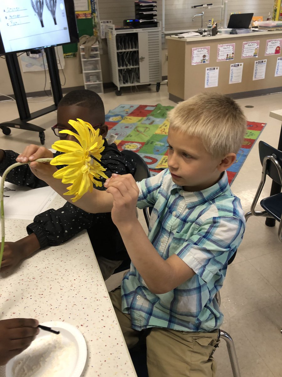 LibertyParkSTEM's tweet photo. What a great week in STEM! LP students learning about structures, pollination, and forces of flight. @LibertyParkElem #PLTW #lpsoars #warrenwill https://t.co/bGlof3MxR6
