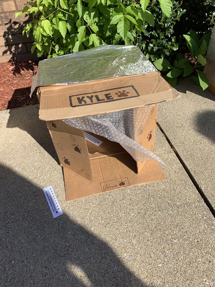 emscott05's tweet image. Vote for you favorite “cool” dog house by liking and retweeting. Introducing Kyle’s. They added aluminum foil to the top to reflect sunlight. #STEAM #PanthersInnovate #structualengineers @PikevilleHigh