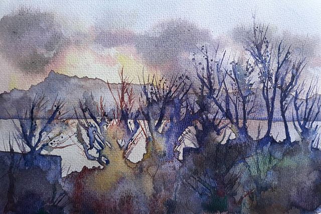 rojoygris's tweet photo. #paisaje #landscape #acuarela #luz #sunlight #watercolours #drawing #ilustracion #rio #river #illustration #sunset #atardeder #angustia #art #arte #arboles #trees #backlight #contraluz #colores https://t.co/4U3iniFMmb https://t.co/57xdR4GylV