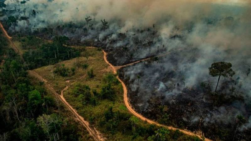 ConElMazoDando's tweet photo. ¡Escándalo! Sepa cómo se organizaron las criminales quemas en la Amazonía https://t.co/TwnbFybE8X  #JuanitoAlimañaEresLaNada https://t.co/FoOjCBY1ha