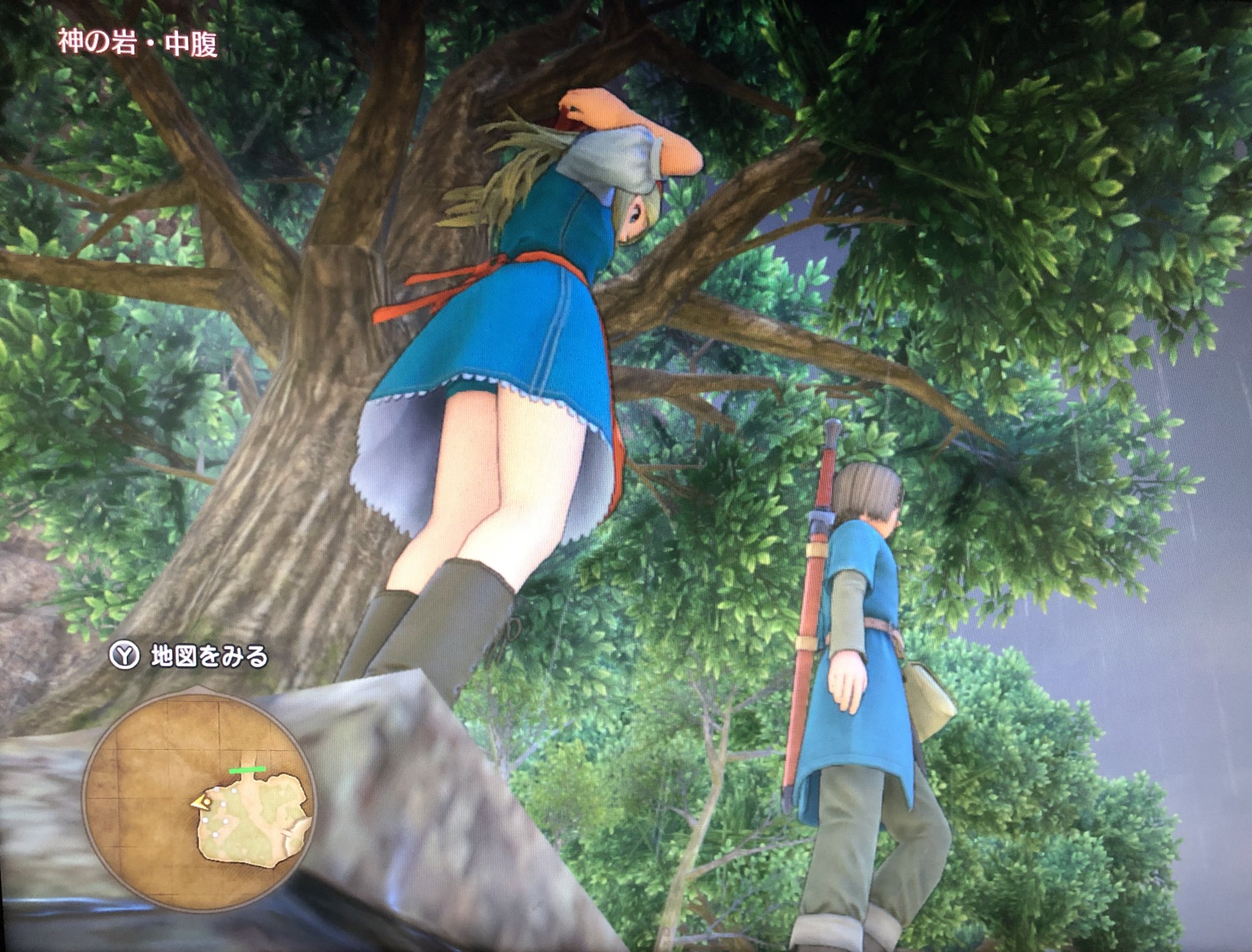 ドラクエ パンチラ / X