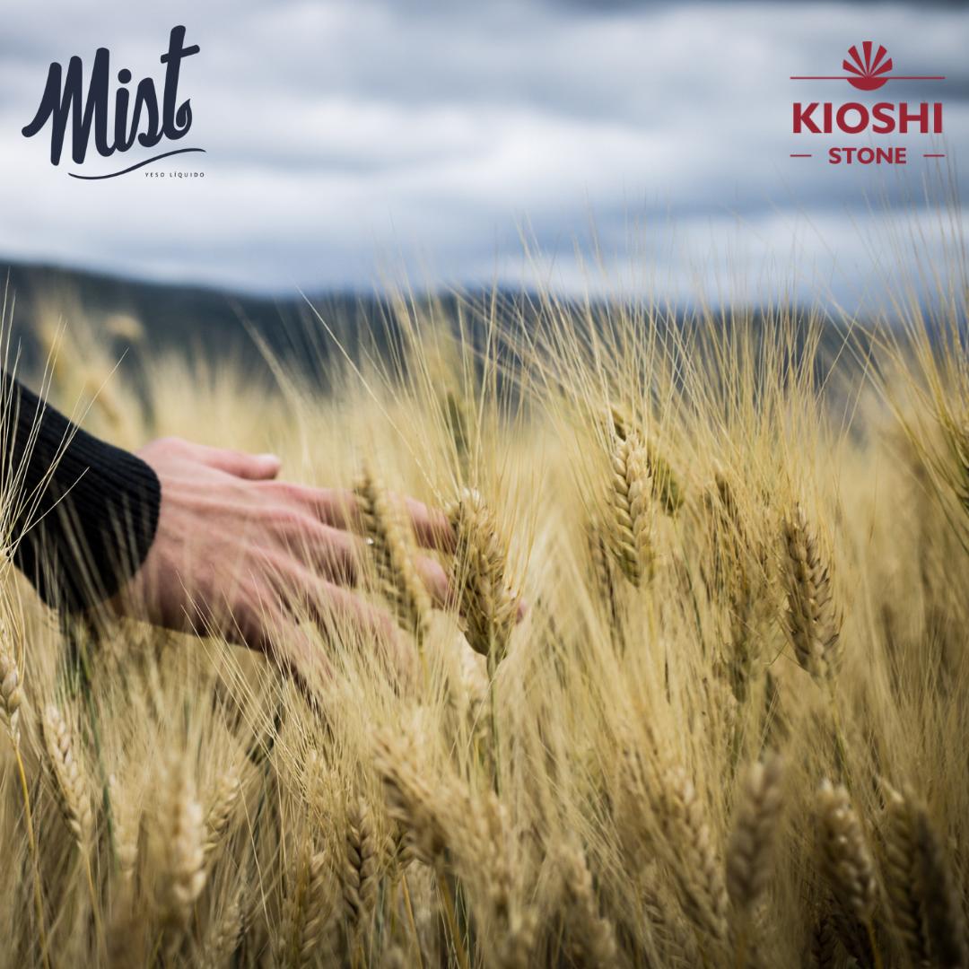 KioshiStone's tweet photo. #Mist remedia la acidulación, mediante la aplicación de nanominerales.

.
#KioshiStone https://t.co/0CBCunwKIZ