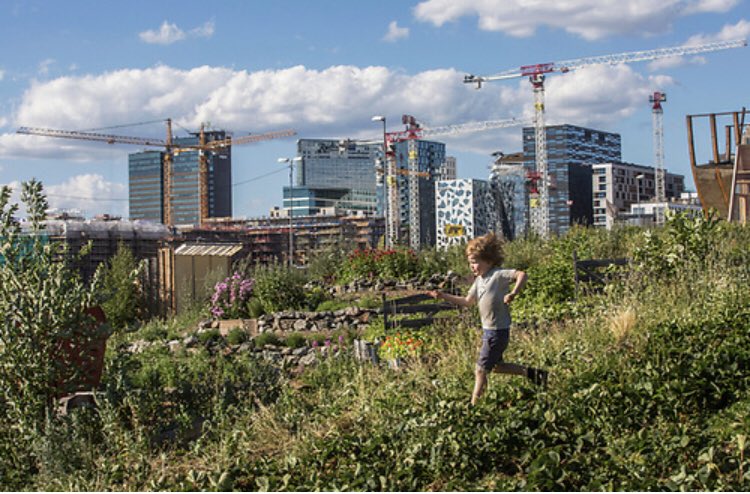 GreenOslo2019's tweet photo. The urban farm @Loseter3 started as a temporary art project and is now a permanent fixture in Oslo, employing a city farmer. An example of how art can transform a city, presented at the #CityLifeConference by @annebeatehovind #EGCA2019 https://t.co/hEYsRBlTnB