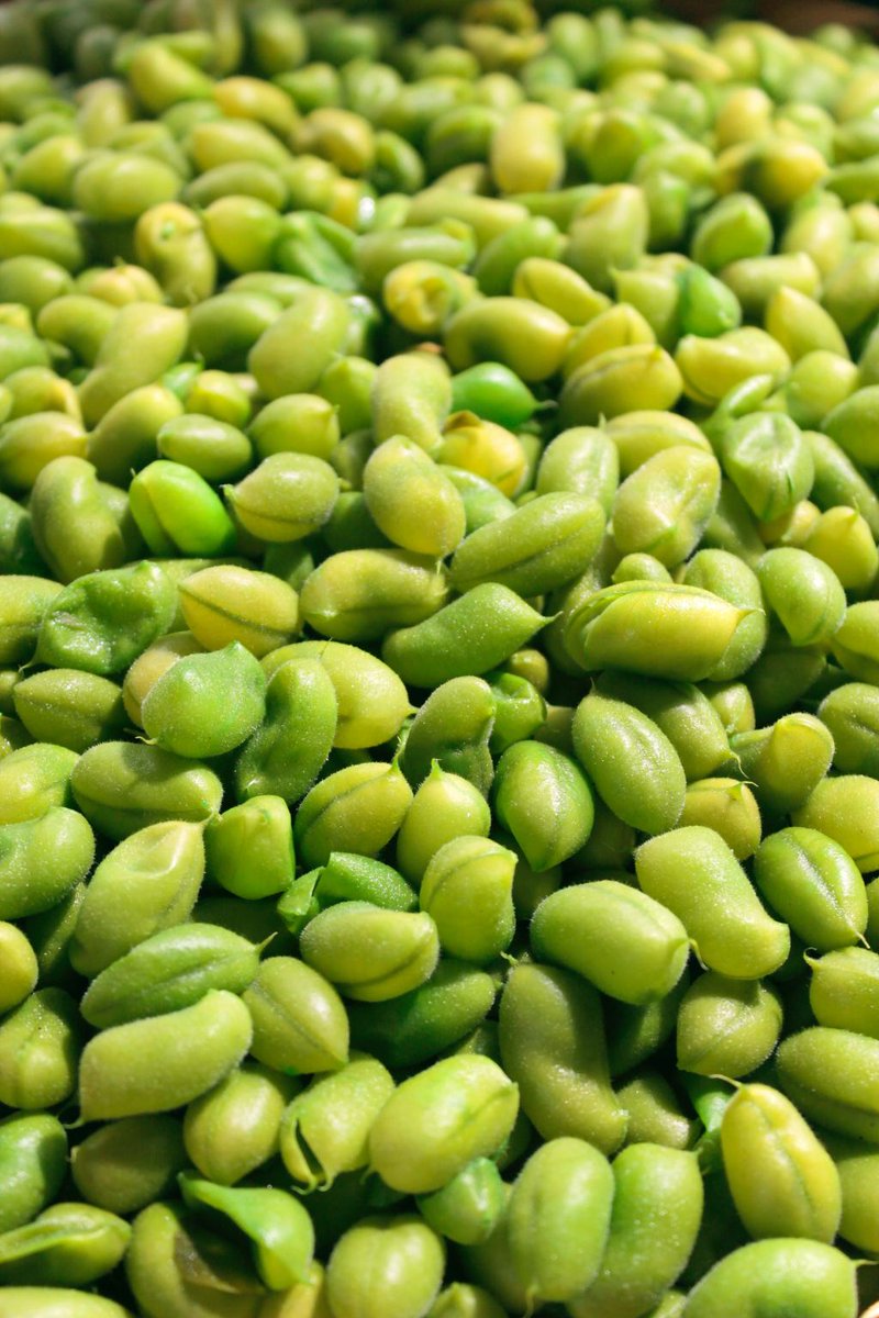 makesensenutri's tweet photo. In Defense of Soy https://t.co/4NDRWP9ugU https://t.co/wQcF1fILpx