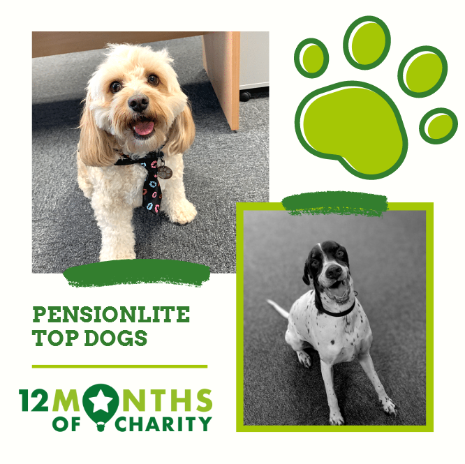 pensionlite's tweet photo. Our Top Dogs day has raised £372.80 towards our #12monthsofcharity total, in support of @HopeHouseKids @LingenDavies @severnhospice @Compton_Care @jaynesargenttf
We would like to thank IAnwen Designs for her kind raffle prize donation of a bespoke animal portrait 🐶🐕 https://t.co/7v5wDYmiqy