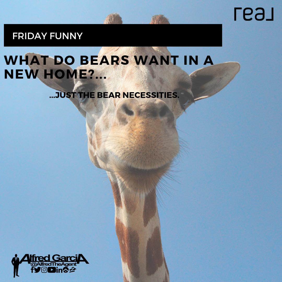 alfredinthewild's tweet photo. ๐คฃ๐คฃ๐คฃ #fridayfunny | What is your best real estate #joke? ๐๐๐
#alfredtheagent #realestate #sanantonio #realtor #realtorlife #buying #selling #satx #buyingahome #property #listing #zillow #joinreal #sanantoniorealestate @joinreal https://t.co/2SFF2G7hoj