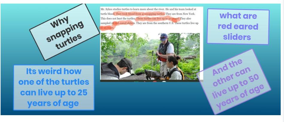 Vicki Thompson tweet media