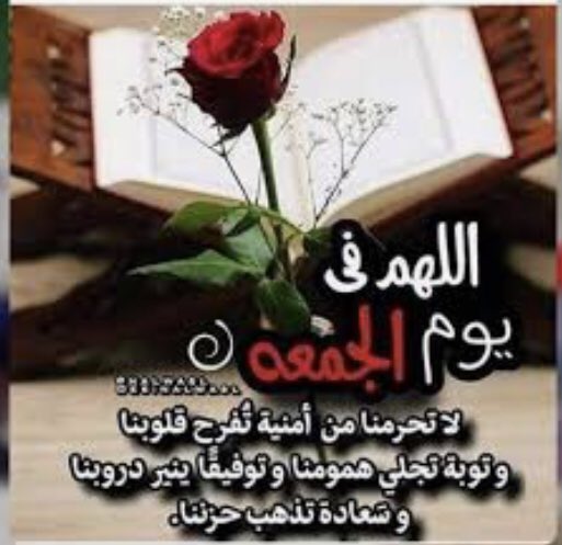 Bint_ismail2002's tweet photo. #ال��وم_الجمعه https://t.co/qPeukoWGls