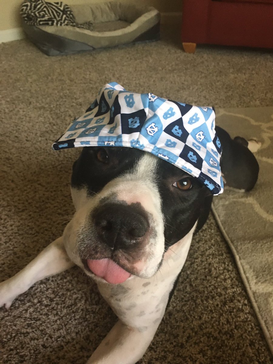 ForemanSavannah's tweet photo. @UNC as a stylish bonnet https://t.co/2qqatlbH88