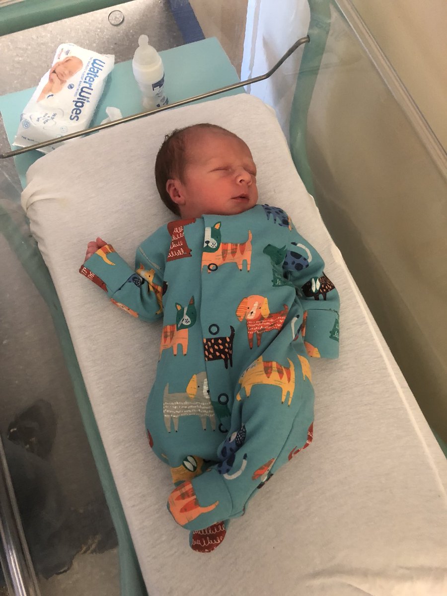 JennaMcCorkell's tweet photo. So in love with my perfect little boy 💙! Ben Alexander Van der Perren born 27.08.2019 weighing 6lb 💙 https://t.co/1S6b9PMpsF