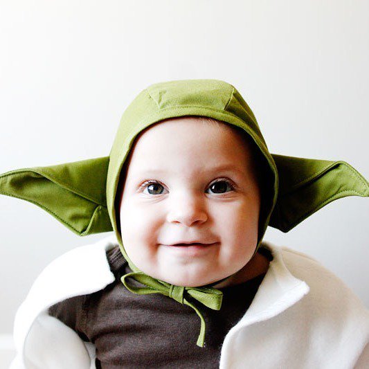 see kate sew tweet media