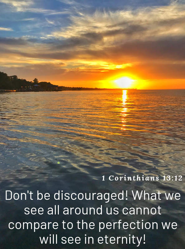 LaineLawsonCrft's tweet photo. Don't be discouraged! What we see all around us cannot compare to the perfection we will see in eternity!
1 Corinthians 13:12
#LivinLively #LivinLivelywithLaine #StartAgainfromScratch #WHOAwomen #Godisgood #Godlovesus https://t.co/V6YmORC9Lq