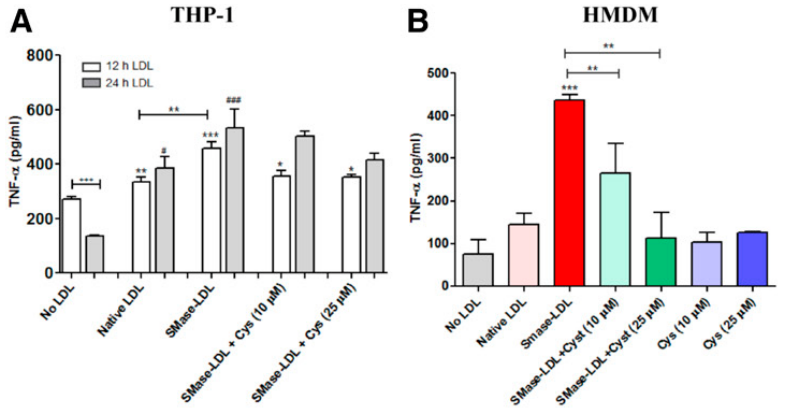 jlipidres's tweet photo. A study in JLR shows that #LDL oxidation in lysosomes alters lysosomal pH, induces senescence, and increases secretion of pro-#inflammatory cytokines in human #macrophages https://t.co/K3bjfw2S6F #IYPT2019 https://t.co/LXQ2bWFkvm