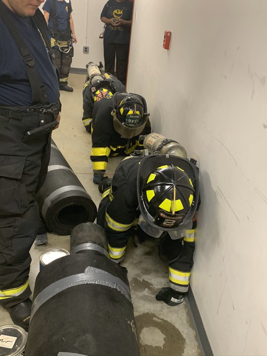 OFD Junior Corps. tweet media