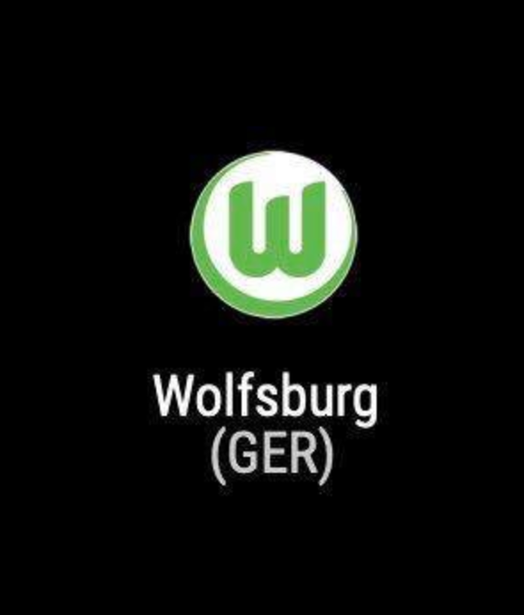 TrollFootball's tweet photo. If Wolves was a Pokemon this would have been it's evolution chain https://t.co/ukROszpKah