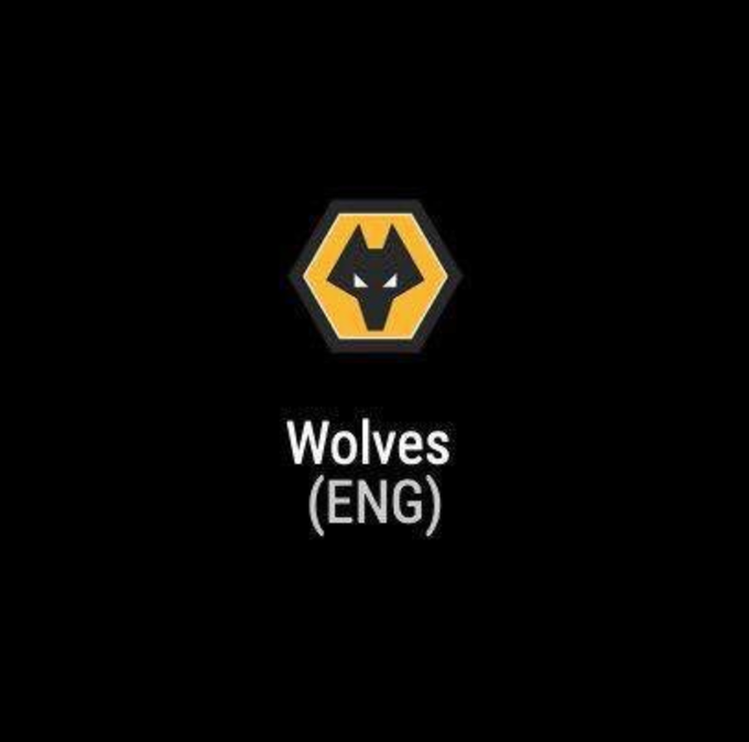 TrollFootball's tweet photo. If Wolves was a Pokemon this would have been it's evolution chain https://t.co/ukROszpKah