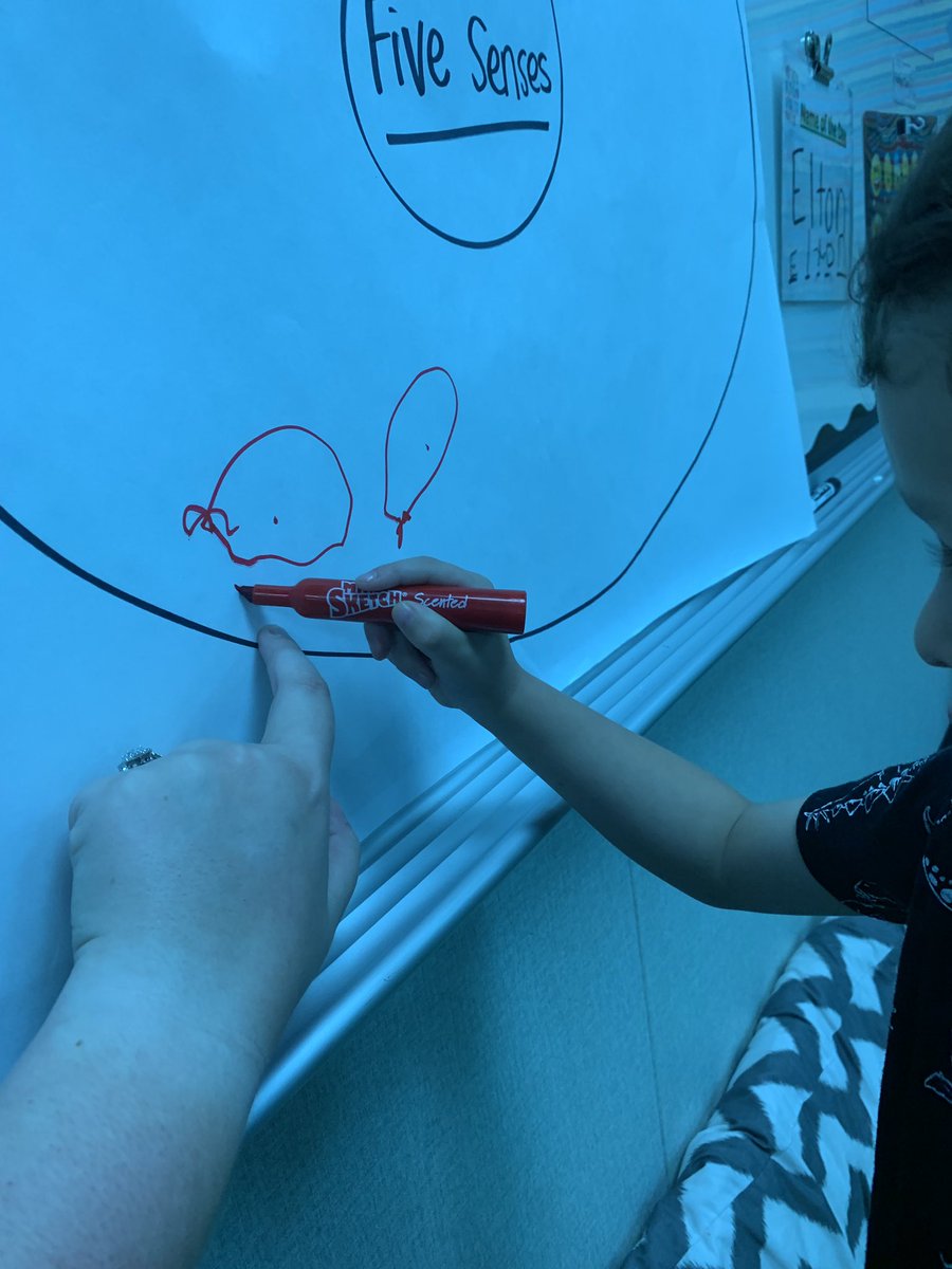 MsLuskSPED's tweet photo. We created our circle map about our five senses today! PPCD loves to show what we know! β€οΈπ¨βπ¬π©βπ¬#FBISDPPCDRocks #Creative #Science #PreK #LetterID #LetterAwareness #FineMotor #FiveSenses #LearningMadeFun @BPE_Broncos @FortBendISD https://t.co/uz109sLAhT