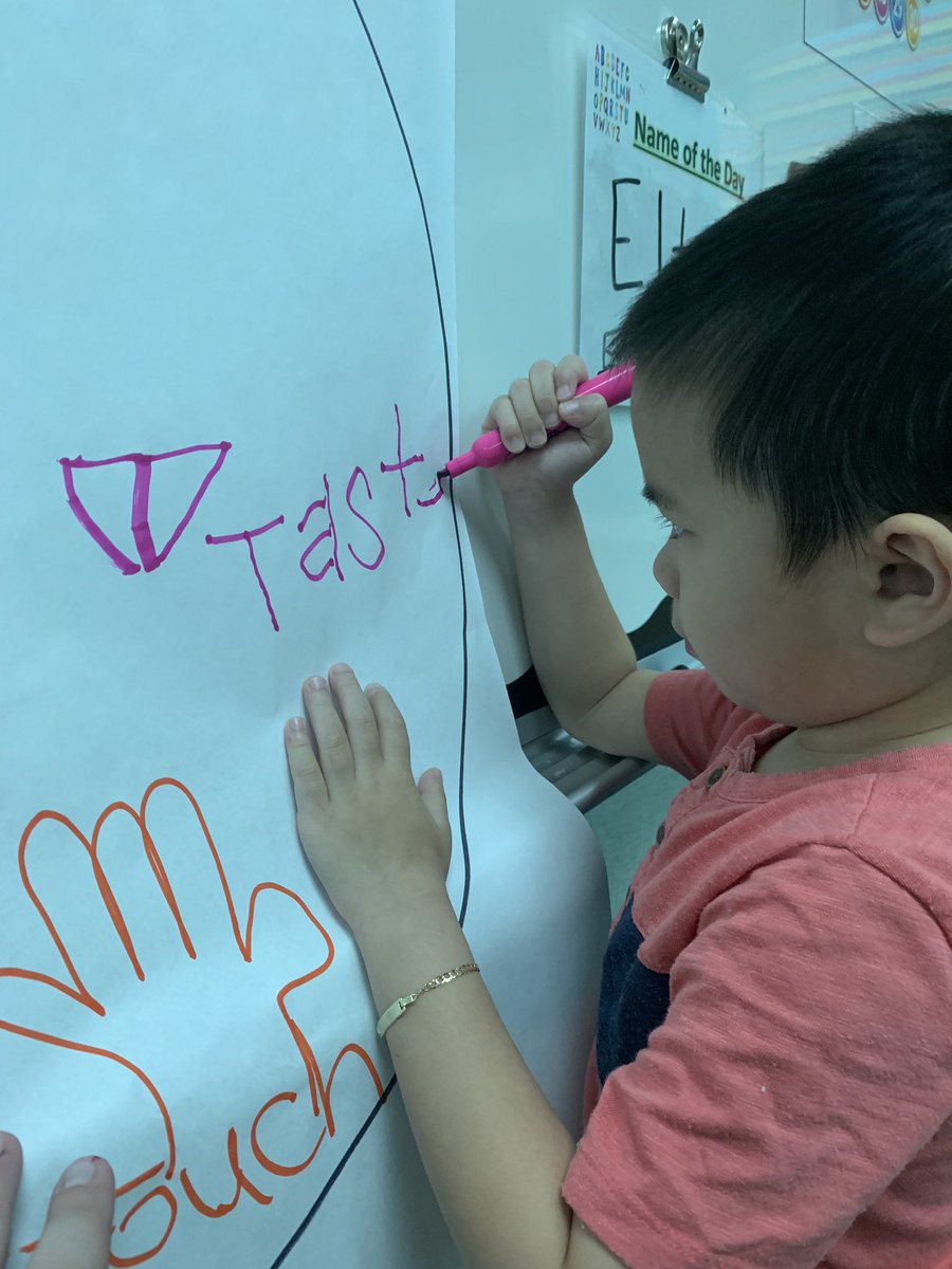 MsLuskSPED's tweet photo. We created our circle map about our five senses today! PPCD loves to show what we know! β€οΈπ¨βπ¬π©βπ¬#FBISDPPCDRocks #Creative #Science #PreK #LetterID #LetterAwareness #FineMotor #FiveSenses #LearningMadeFun @BPE_Broncos @FortBendISD https://t.co/uz109sLAhT