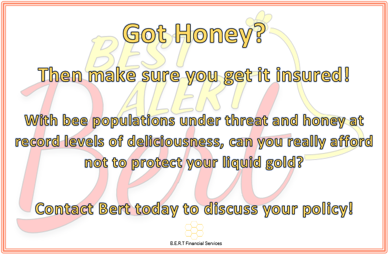 BestAlertBert's tweet image. 