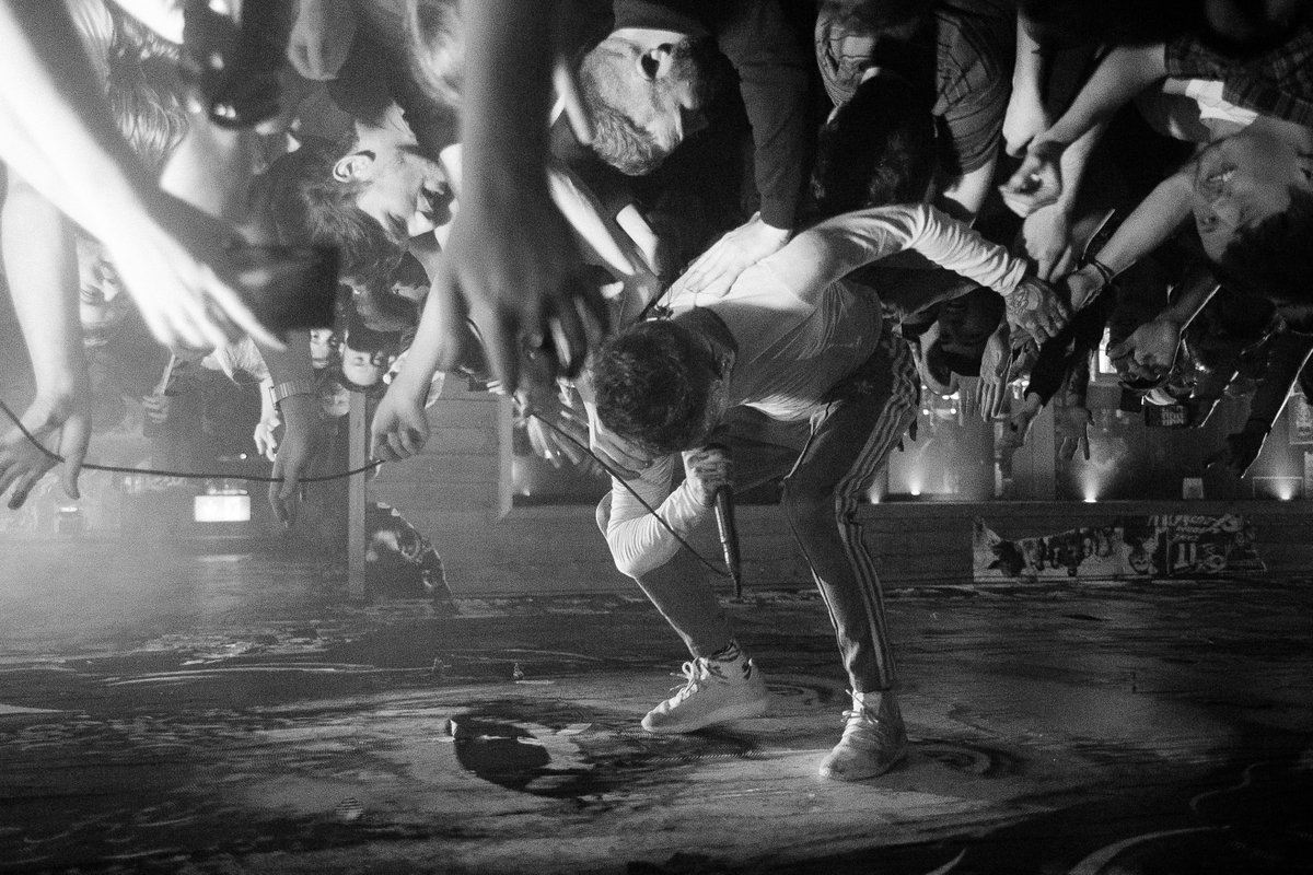 Upside down photo or upside down Frank? 🤔