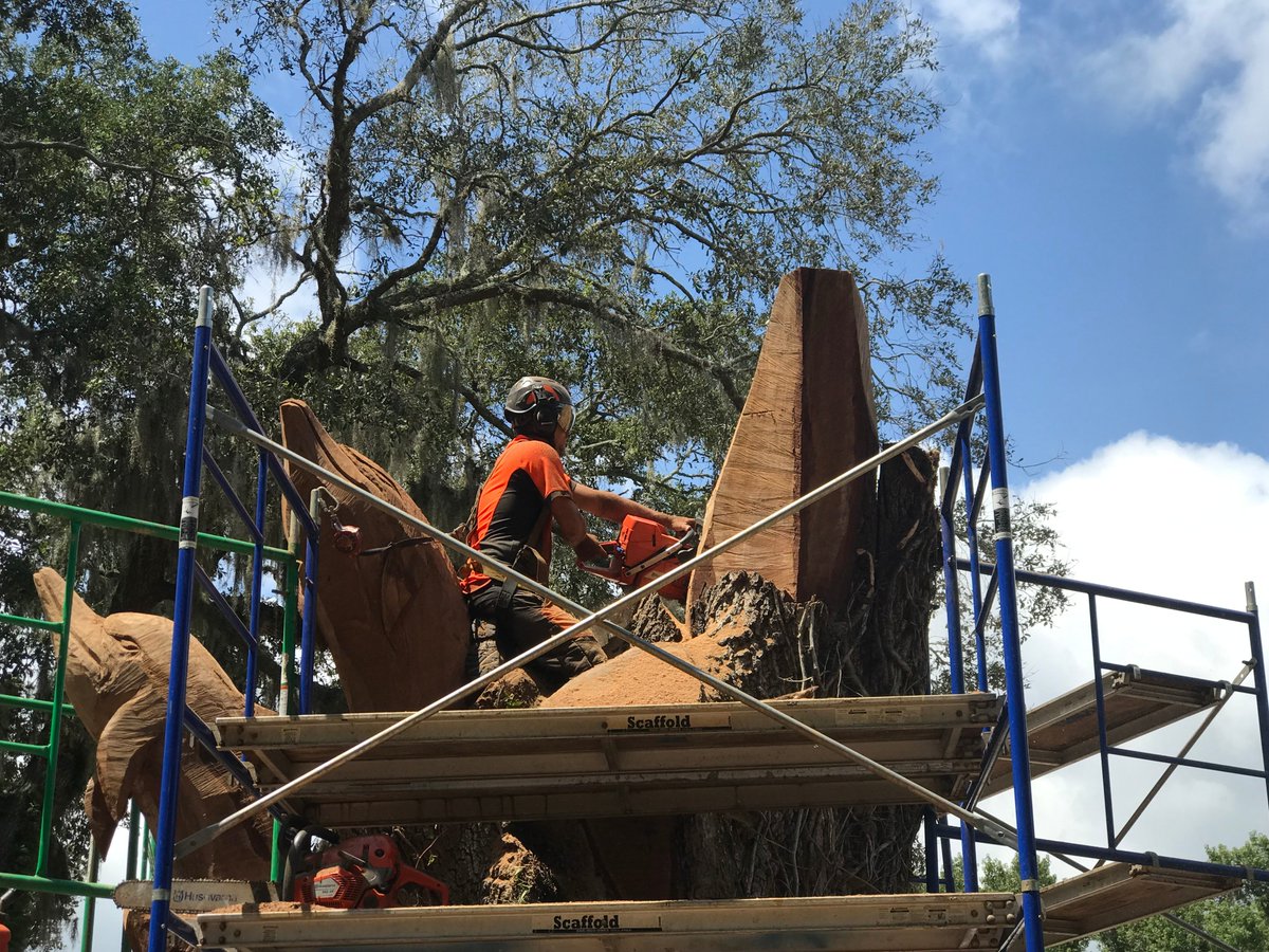 A once massive 150-year-old oak tree on <a href="/JacksonvilleU/">Jacksonville University</a>'s campus, killed during #HurricaneIrma in 2017, has been transformed into a work of art. I caught up with the artist, <a href="/chadgaineyart/">Chad Gainey</a>, while he was working on the sculpture. Story at <a href="/WJCTJax/">WJCT Public Media</a>: 
bit.ly/2ZE5B1Z