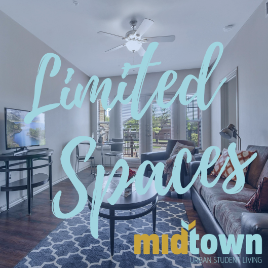 Score September Rent for free for our 3x3 Flat!