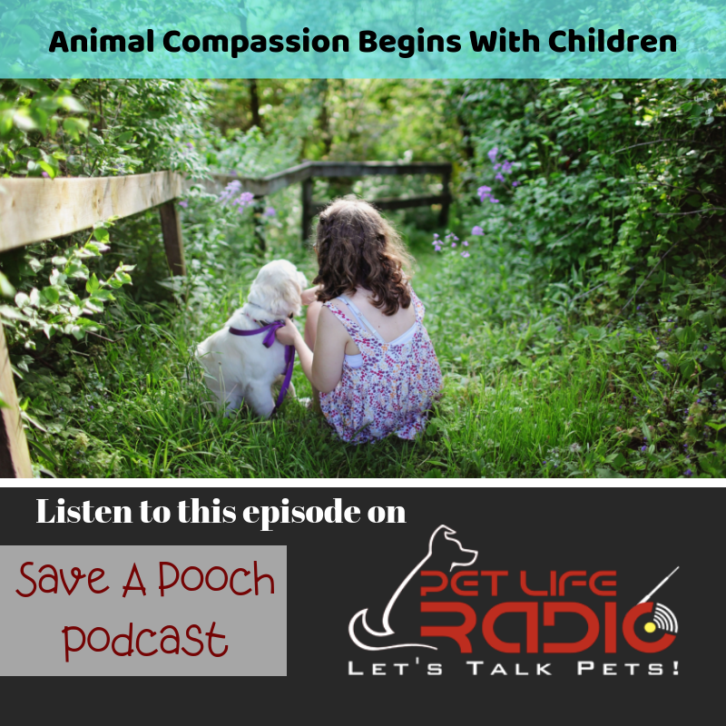 BeverlyIsla's tweet image. Animal compassion begins with children! Today's show will address this approach with two special guests Carol Novello and Marla Stahl #rescuedogs #animalcompassion @petliferadio petliferadio.com/saveapoochep40…