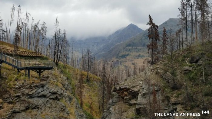 Scars of the Kenow wildfire are still evident nearly two years after it swept into Waterton Lakes National Park. tgam.ca/2LvtfZx