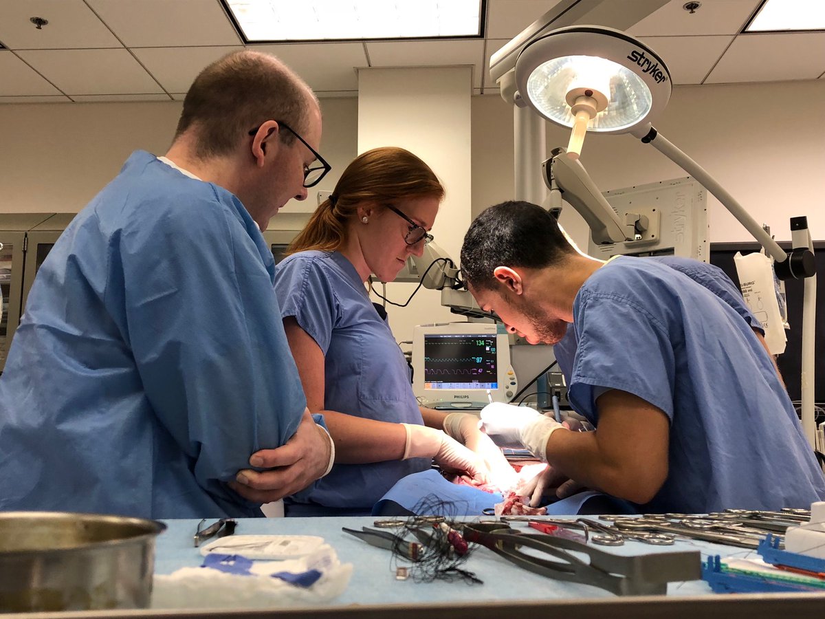 UCincySurg's tweet photo. 4th year med students spend the morning in surgical bootcamp with our clerkship staff - Drs Athota, Kuethe and Grimes. Great learning before application season.  ⁦@UCCOM_MedSci⁩ ⁦@AndyFilak⁩ https://t.co/s2w6HVgAFY
